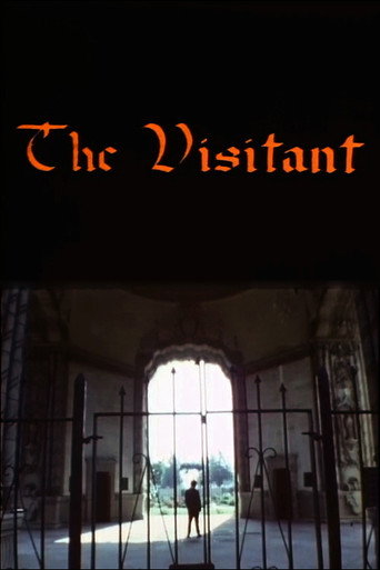 Movie poster for The Visitant (1981)