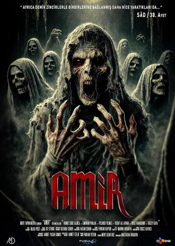 Movie poster for Amir (2024)