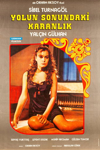 Yolun Sonundaki Karanlık poster