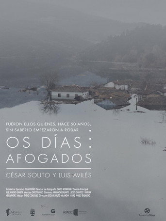 Movie poster for Os Días Afogados (2015)