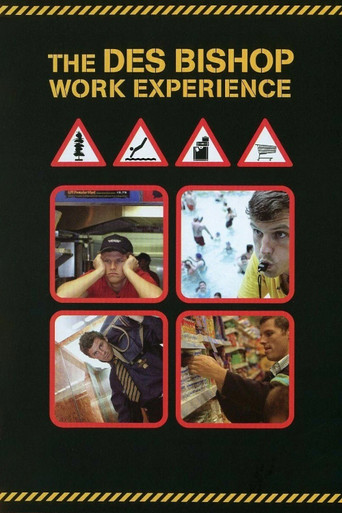 Series poster for The Des Bishop Work Experience (2004)