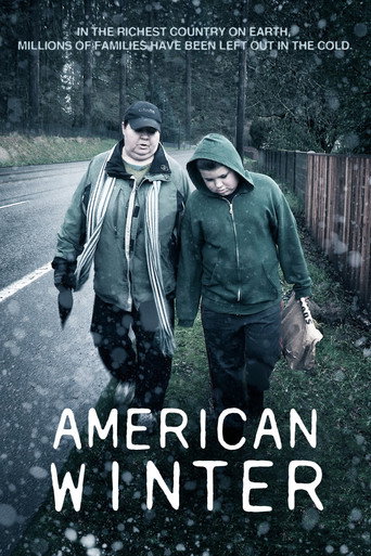 Movie poster for American Winter (2013)
