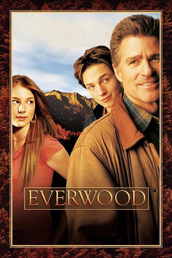 Everwood poster