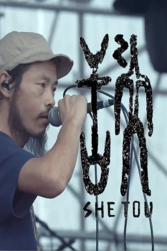 舌头乐队《中国制造》2016年6月18日重庆草莓节现场 poster