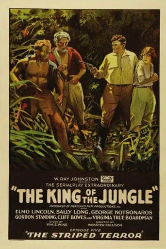 Movie poster for The King of the Jungle (1927)