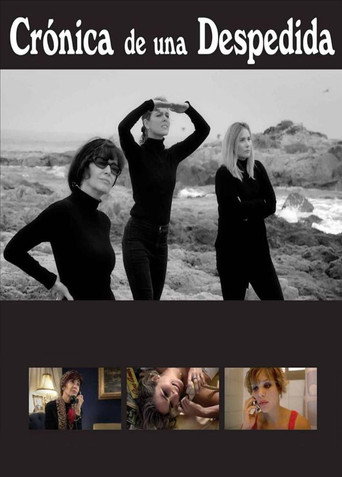 Chronicle of a Farewell poster