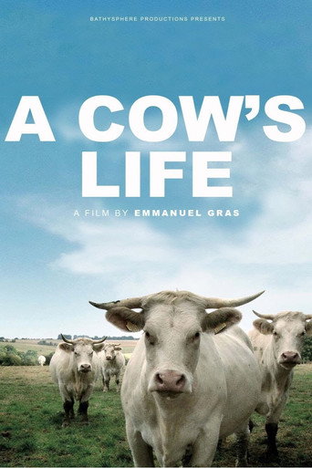 Movie poster for Bovines (2012)