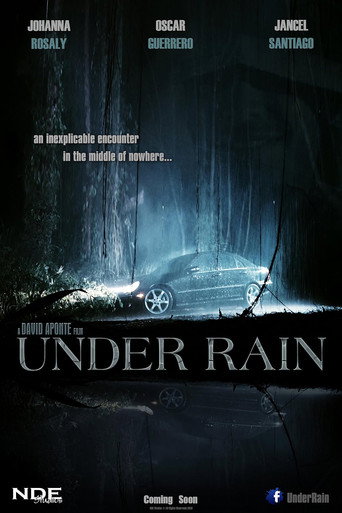 Movie poster for Under Rain (2012)