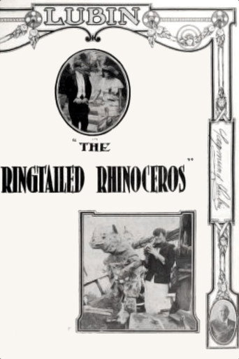 Movie poster for The Ringtailed Rhinoceros (1915)