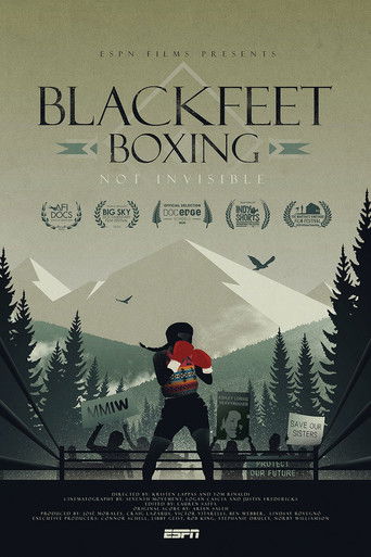 Blackfeet Boxing: Not Invisible poster