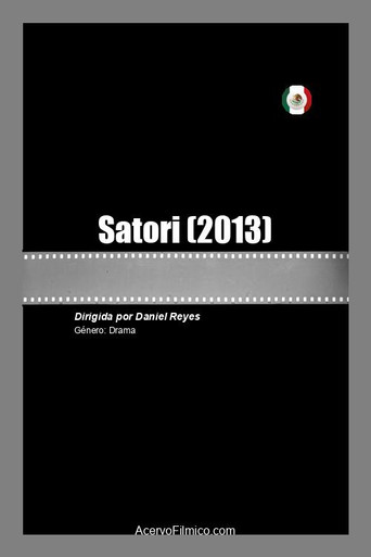 Movie poster for Satori (2013)