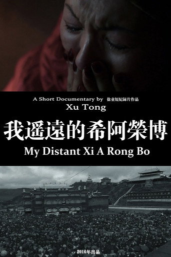 Movie poster for My Distant Xi A Rong Bo (2016)