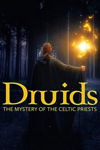 Movie poster for Druids: The Mystery of Celtic Priests (2021)