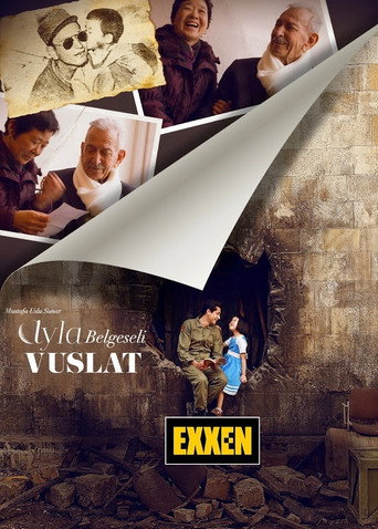Movie poster for Ayla Belgeseli Vuslat (2021)