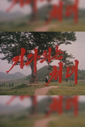 Movie poster for The Long Awaited Girl (2001)