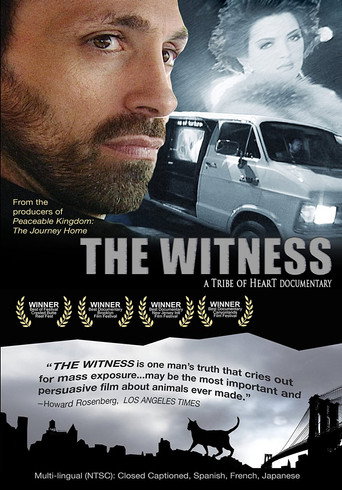 Movie poster for The Witness (2000)