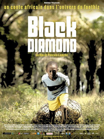 Movie poster for Black Diamond (2010)