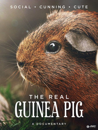 Movie poster for The Real Guinea Pig (2015)