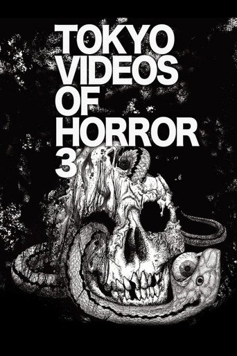 Movie poster for Tokyo Videos of Horror 3 (2012)