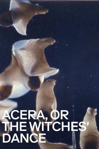 Movie poster for Acera, or the Witches' Dance (1972)