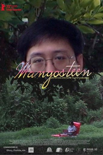 Movie poster for Mangosteen (2023)