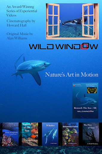 Series poster for Wild Window (2015)