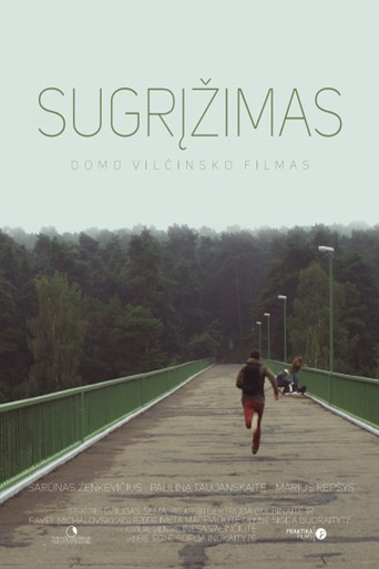 Movie poster for The Return (2015)