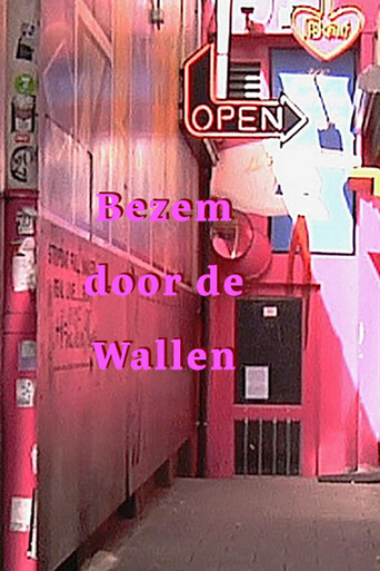 Series poster for Bezem door de wallen (2012)