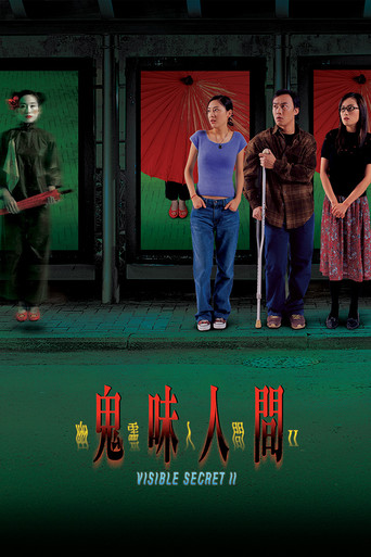 Visible Secret 2 poster