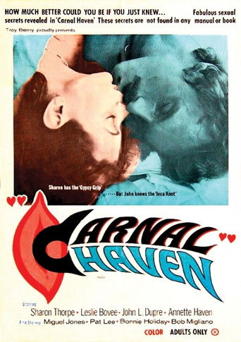 Carnal Haven poster