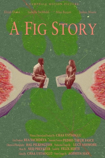 Movie poster for A Fig Story (2024)