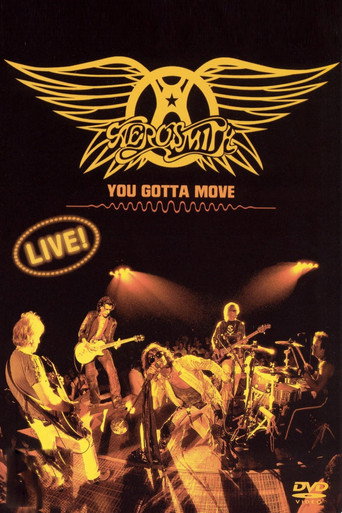 Movie poster for Aerosmith - You Gotta Move (2004)