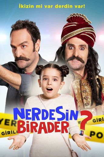 Nerdesin Birader? poster