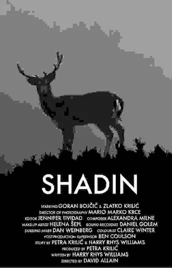 Movie poster for Shadin (2018)