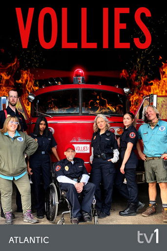 Vollies poster