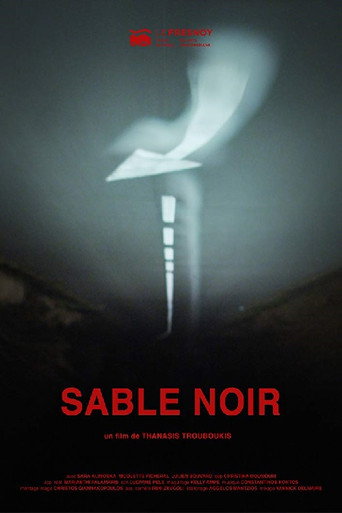 Sable noir poster