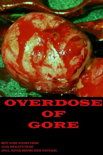 Movie poster for Overdose of Gore (2019)