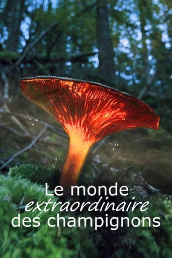 Movie poster for Le monde extraordinaire des champignons (2023)