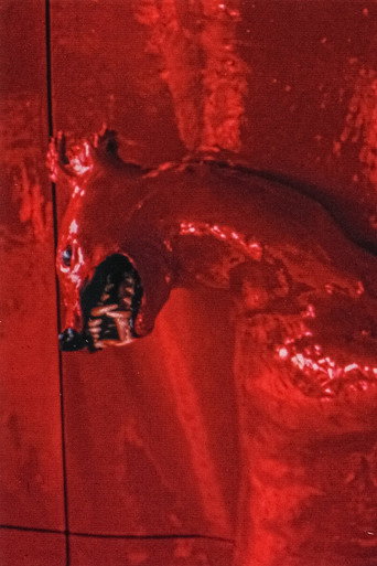 Movie poster for A Red Score in Tile (2003)