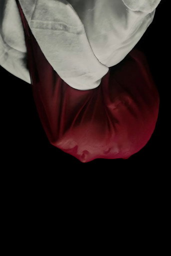 Movie poster for It Is Not Spring, Until All Flowers Blossom (2023)