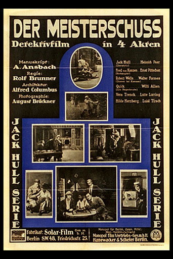Movie poster for Der Meisterschuß (1920)