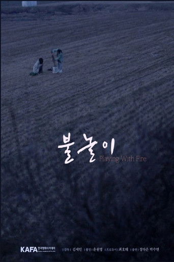 Playing with Fire poster