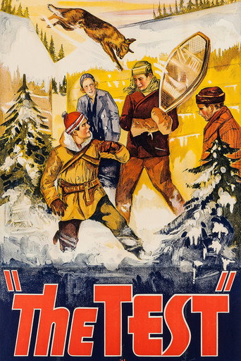 Movie poster for The Test (1935)