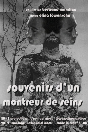 Movie poster for Memories of a Boobs Flasher (2014)