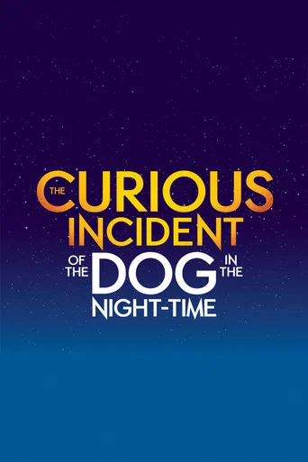 Movie poster for The Curious Incident of the Dog in the Night-Time