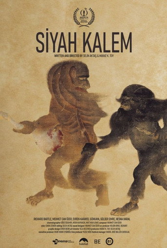 Movie poster for Siyah Kalem (2025)