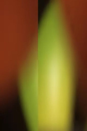 Movie poster for Stretch and Pull (2014)