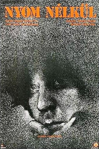 Movie poster for No Clues (1982)