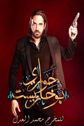 The Alleys of Bucharest poster