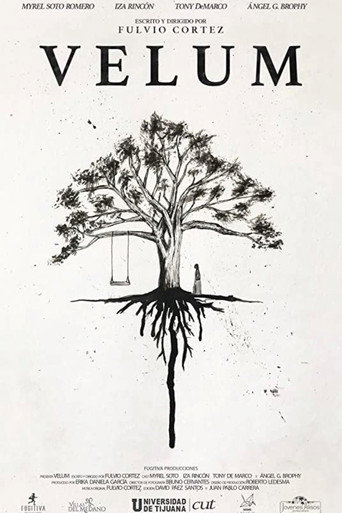 Movie poster for Velum (2020)